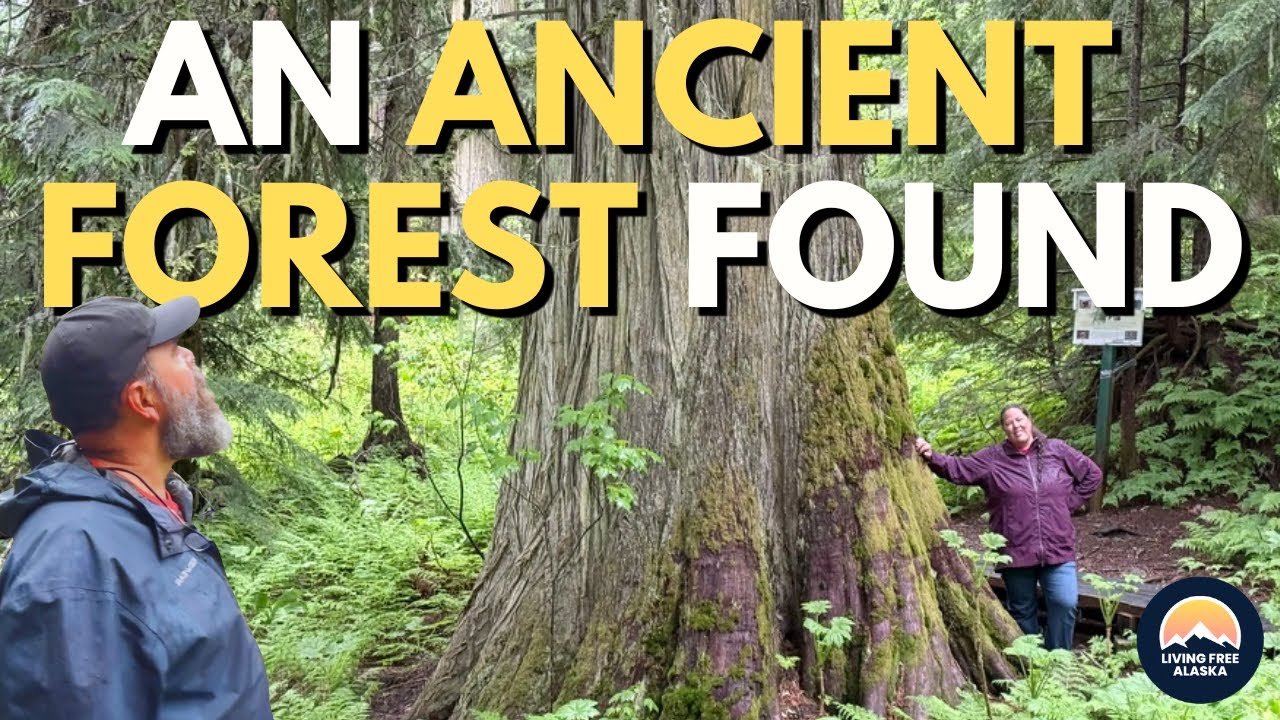 Walking Through Time | Our Journey Home to Alaska