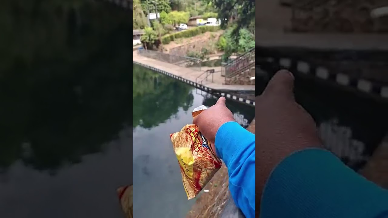 Vacilando por la piscina de atzumpa en concepcion de ataco