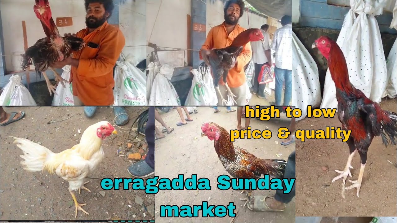 Erragadda Sunday market 03/09/2023..