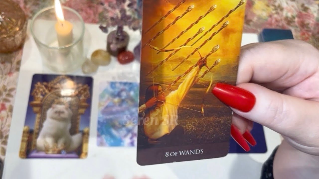 ✨A VERY IMPORTANT MESSAGE IS COMING ✨🤍 @SerenSpiritualReadings #tarot #tarotreading #spiritual 