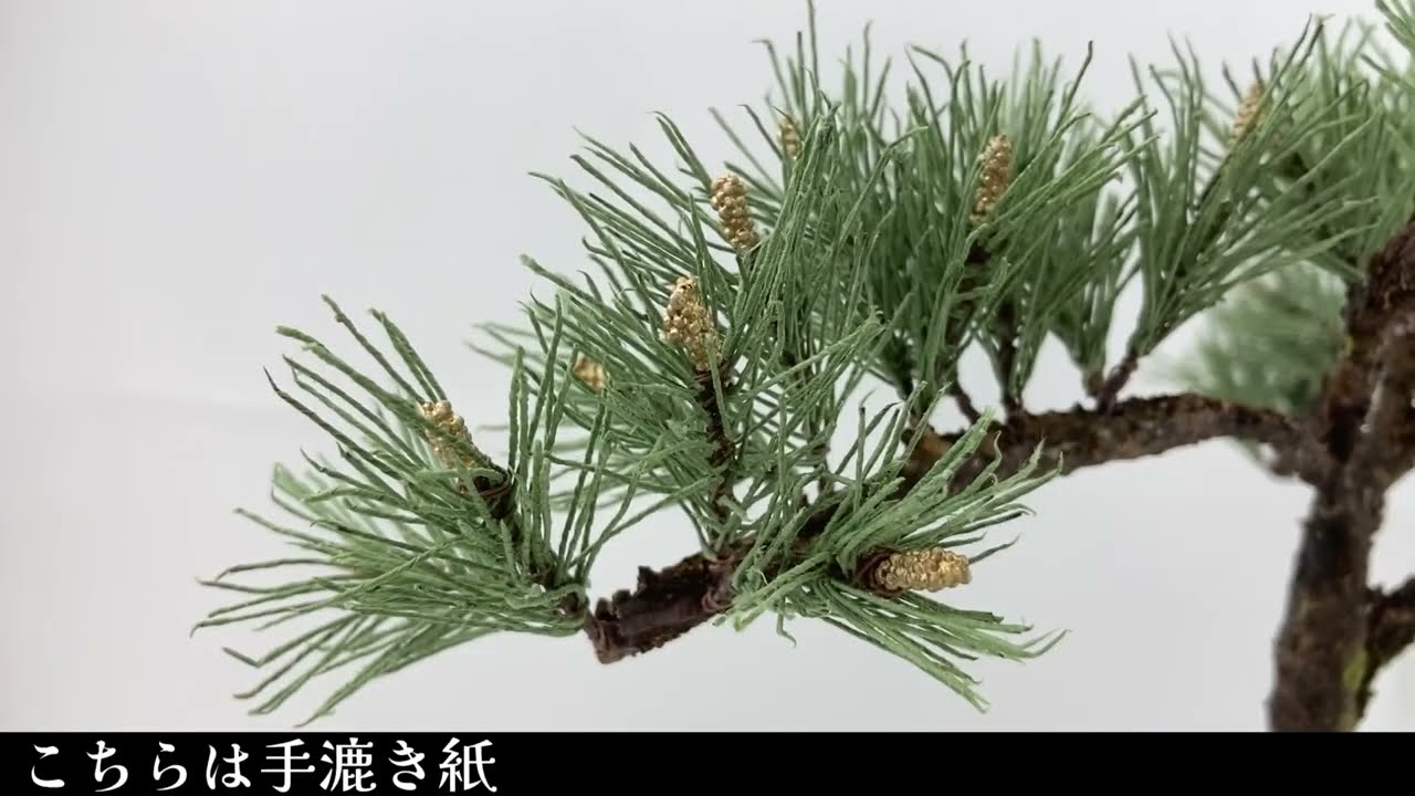 この松の盆栽、和紙で手作りで作られています！