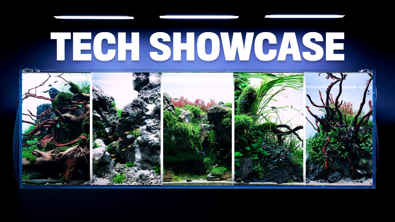 The TECHNOLOGY Behind Every Aquarium at Green Aqua | What Makes Our Planted Tanks WORK?