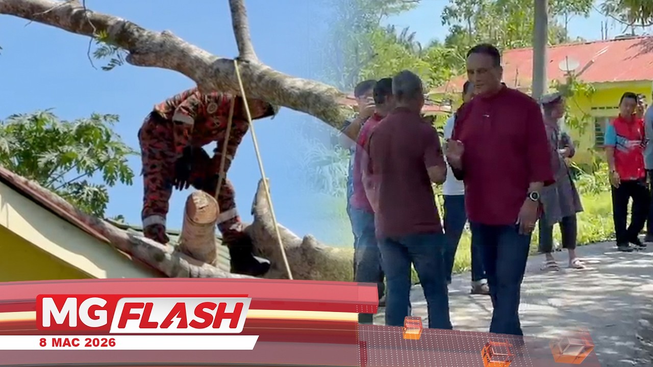 Pokok Petai Hempap Rumah Ketkika Ribut #MGFlash