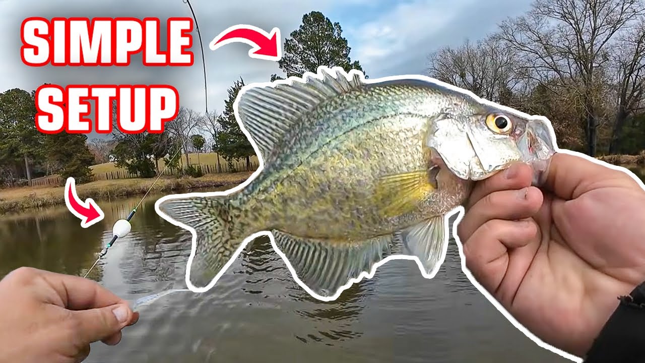 THIS CRAPPIE FISHING SETUP CATCHES CRAPPIE ANYWHERE‼️ CRAPPIE FISHING 2026‼️