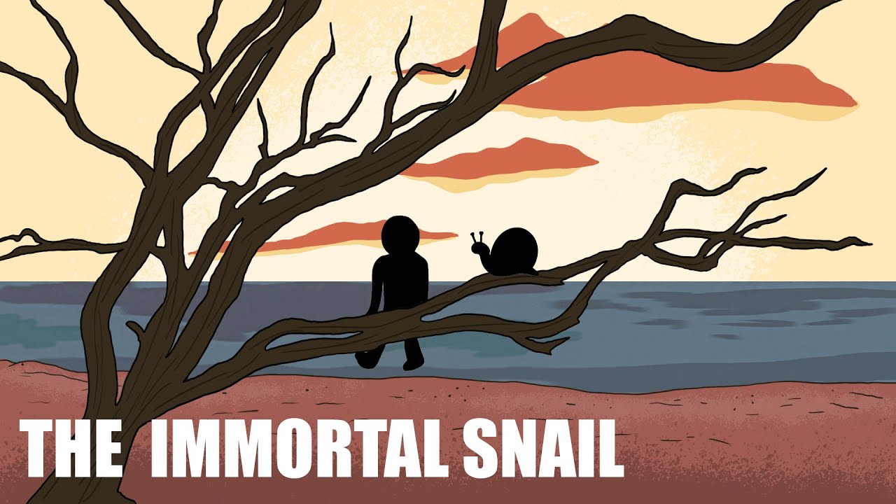The Immortal Snail Story - Animated Short