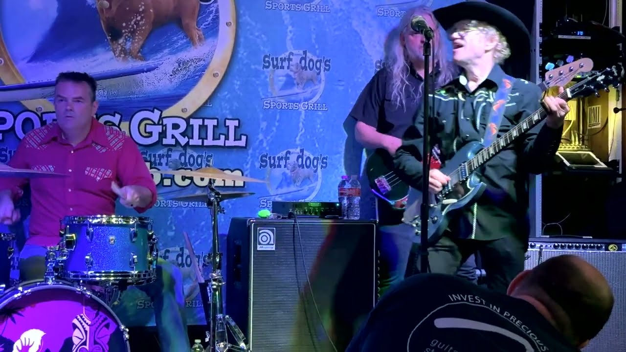 Insect Surfers Live at Surf Dogs