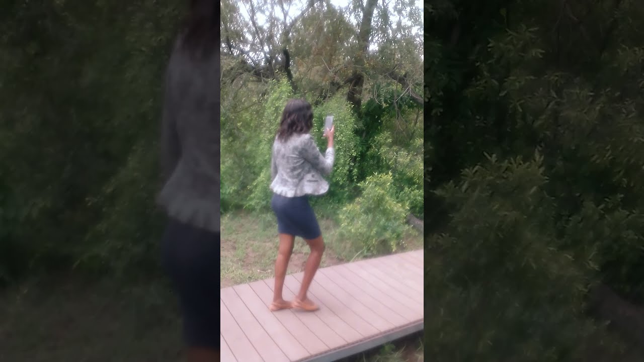 Special guests at Old Drift Lodge
