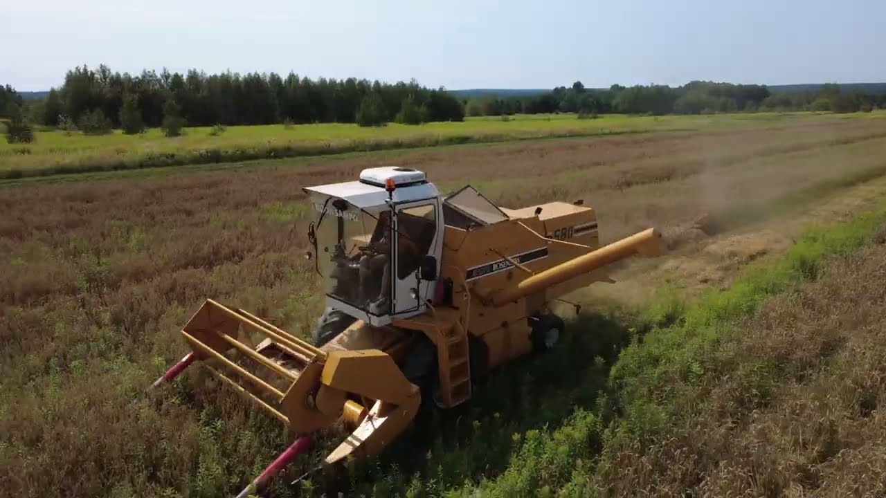GR KULEC, Żniwa na wesoło  2025 Sampo  Rosenlew 580, Massey Ferguson 3065.
