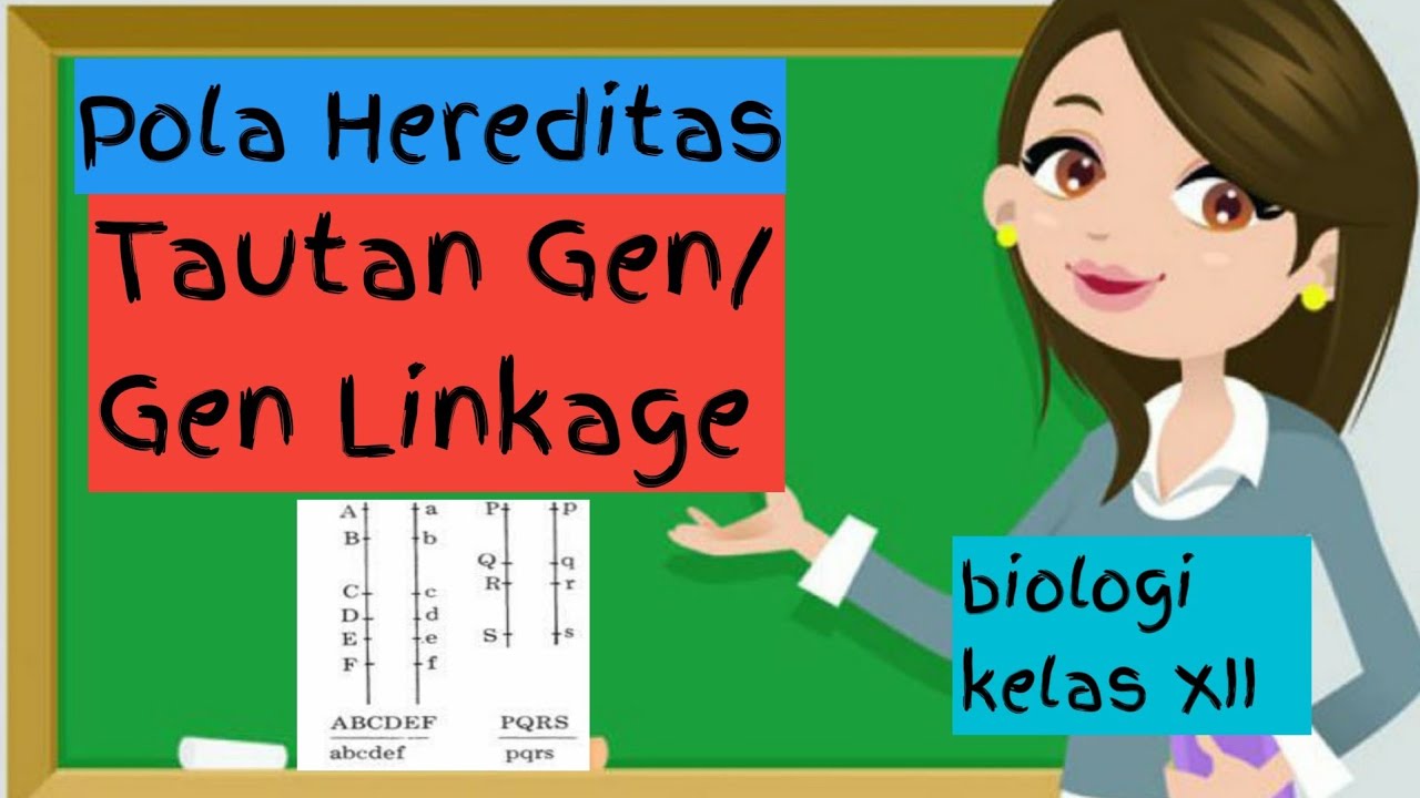 Materi Biologi Tautan Gen Kelas 12 | Bab Pola Hereditas