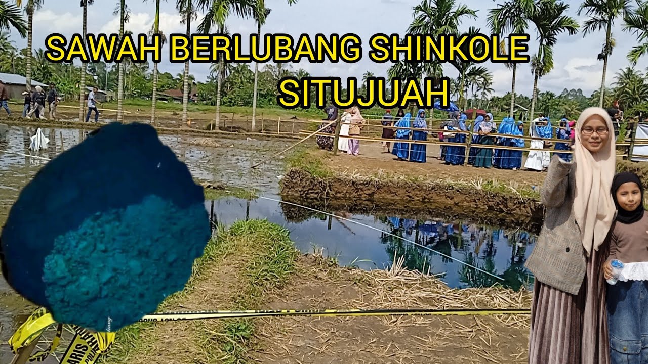 MAKIN VIRAL ⁉️FENOMENA SHINKOLE BIRU SAWAH BERLUBANG SITUJUAH 