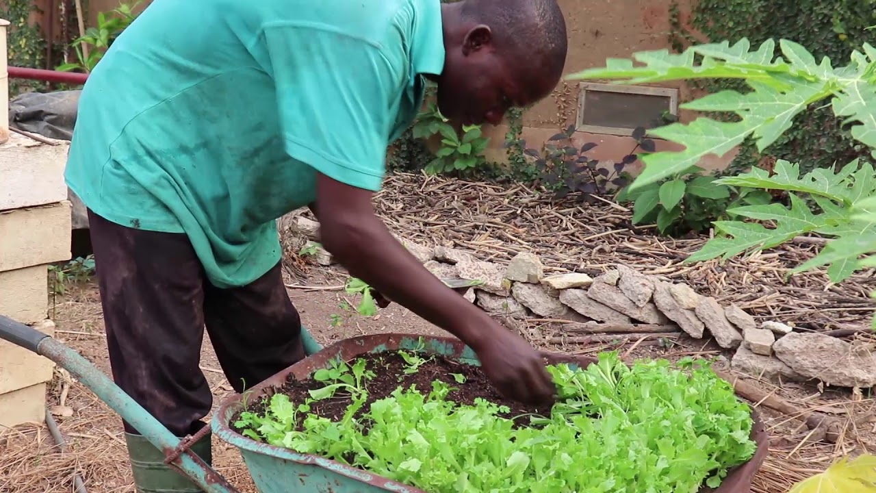 Maktub écoferme-Bénin