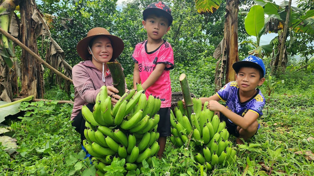 Full video 60 days of harvesting fruits and vegetables for sale by DANG THI DU
