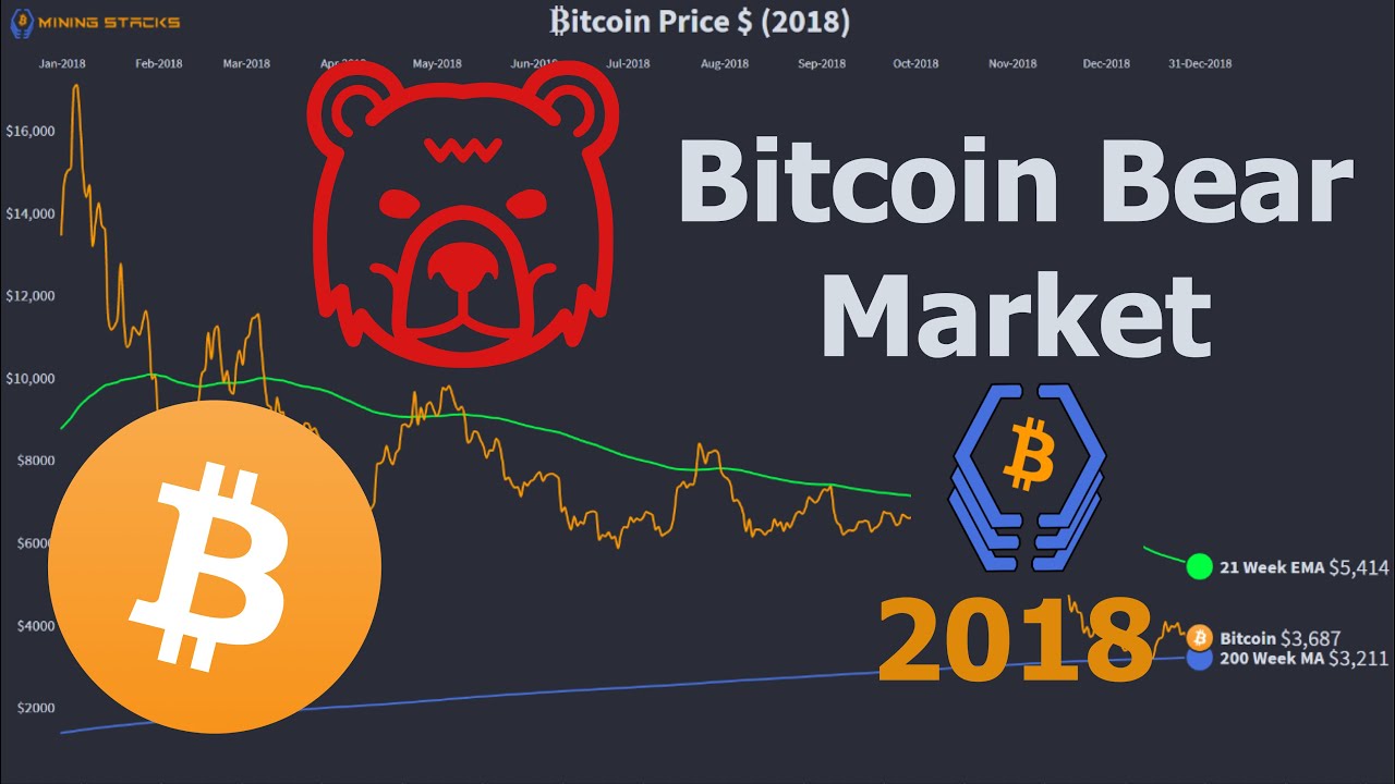 The Bitcoin Bear Market of 2018 Visualized!!