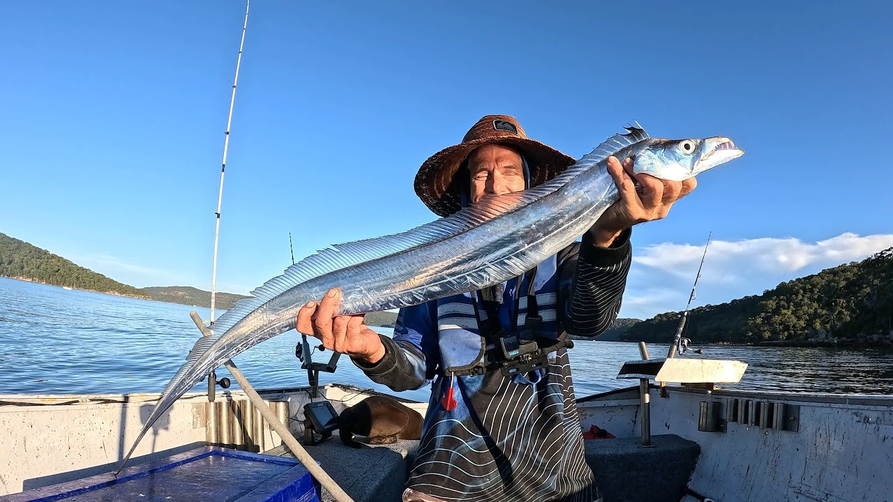 It finally happened! +Poor man downrigging? (Catch & cook)