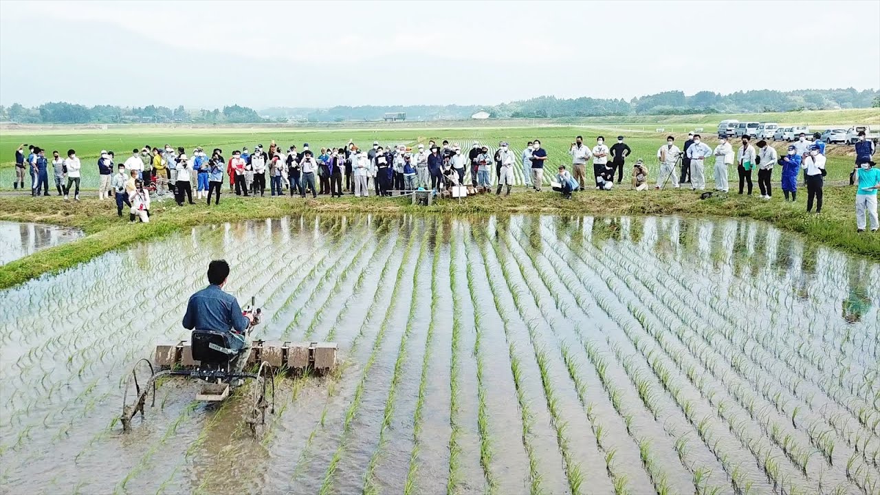2022有機稲作栽培研修会+水田除草機実演会 in 佐渡（2022.6.17）