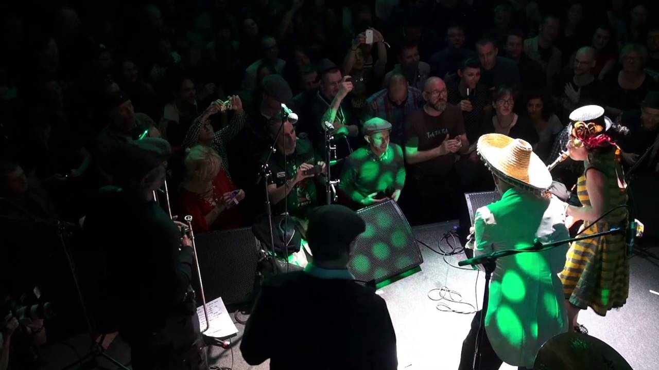 The Top Cats - A Message To You Rudy (live @ Freedom Sounds 2016)