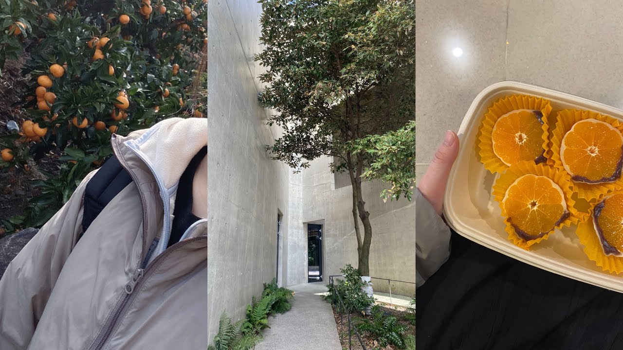 [vlog]제주여행. 중문코스추천.귤모찌.테라로사카페.이호테우해변 노을과 신라스테이플러스.동문시장루트.