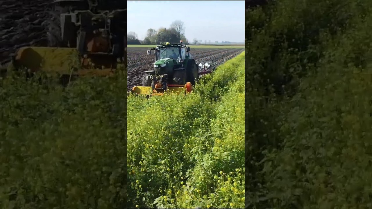 Klepelen en ploegen in &eacute;&eacute;n werkgang | John Deere 6210R #ploughing #farming #agriculture #johndeere