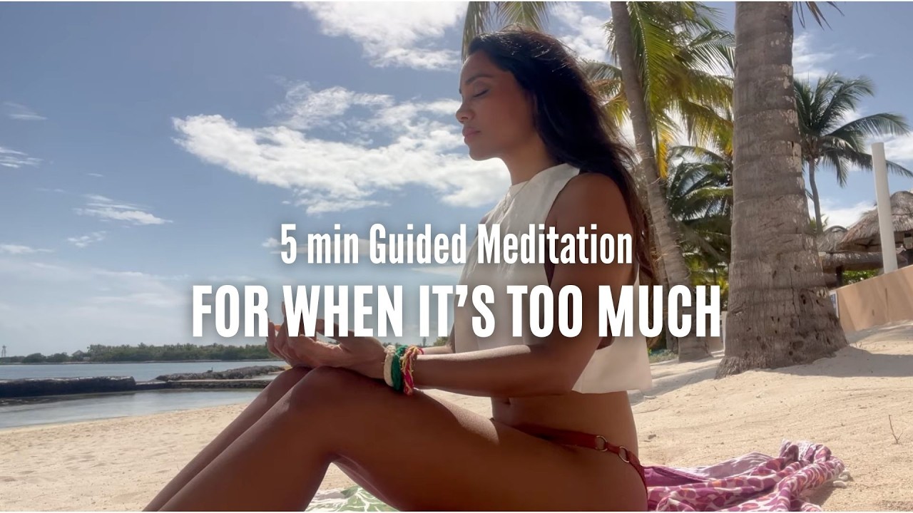 5 Minute Reset Meditation for Overwhelm & Chaos