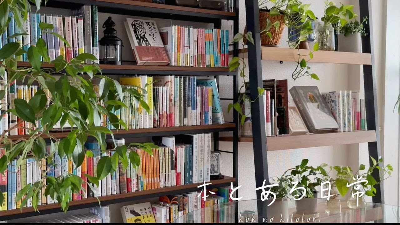【本棚紹介】お気に入りの本とおすすめの本/ 本棚の中身全部見せ📚