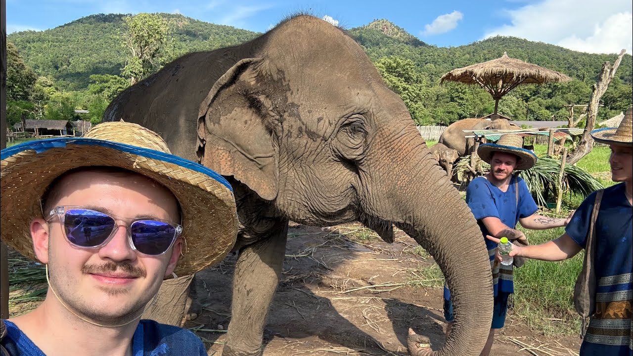 Elephant Sanctuary! - APAC Diaries Ep4 - Chiang Mai Pt3