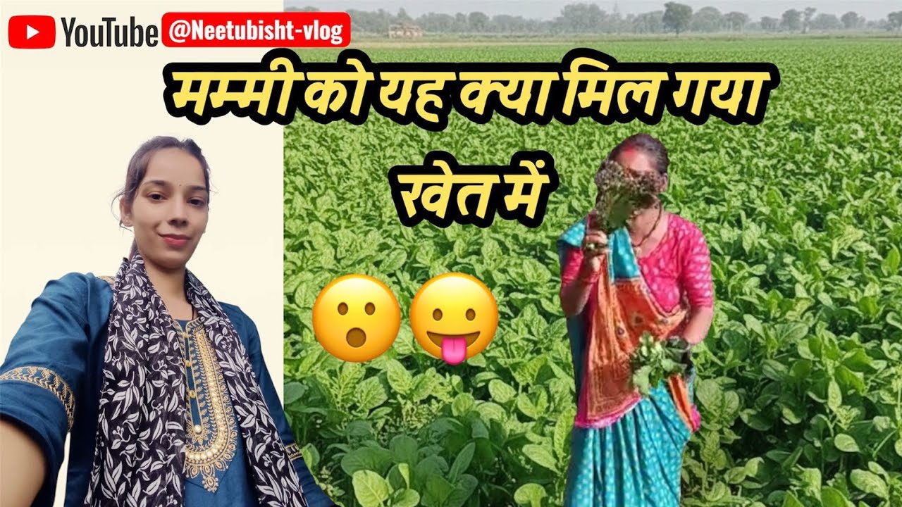 आज हम खेत में क्यों गए थे और मौसी ताई क्या बोले 😱#kumauniculture #phadilifestyle #neetubisht 