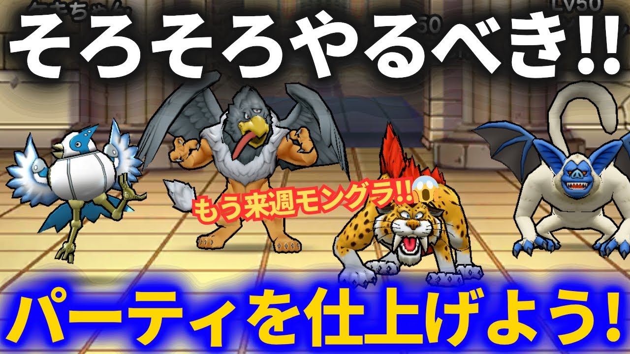【ドラクエウォーク】そろそろやるべき！！モングラに向けてパーティを仕上げよう！！【なかまモンスター】【モンスターグランプリ】