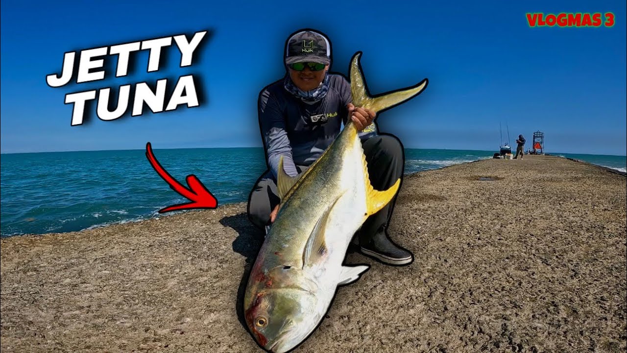Охота на огромных рыб у причала Surfside! Безумная рыбалка - Vlogmas 3