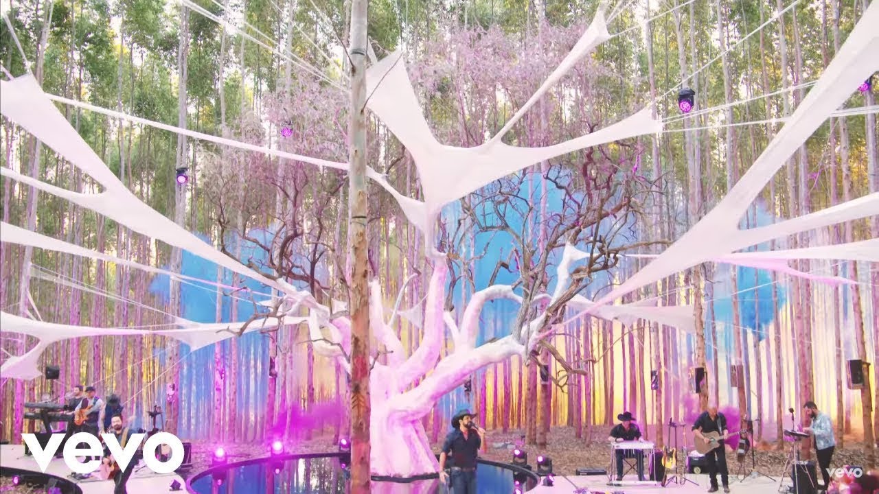 Fernando & Sorocaba - Cada um na Sua (Ao Vivo)