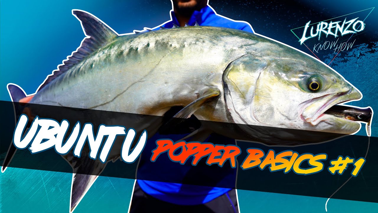 Catch more fish with Ubuntu Popper! Tuna, leerfish, amberjack, bluefish...