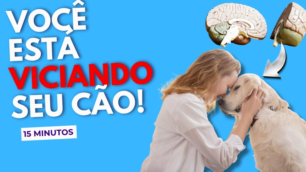 Seu Cachorro é ANSIOSO POR CULPA SUA – Reprograme 15 Minutos