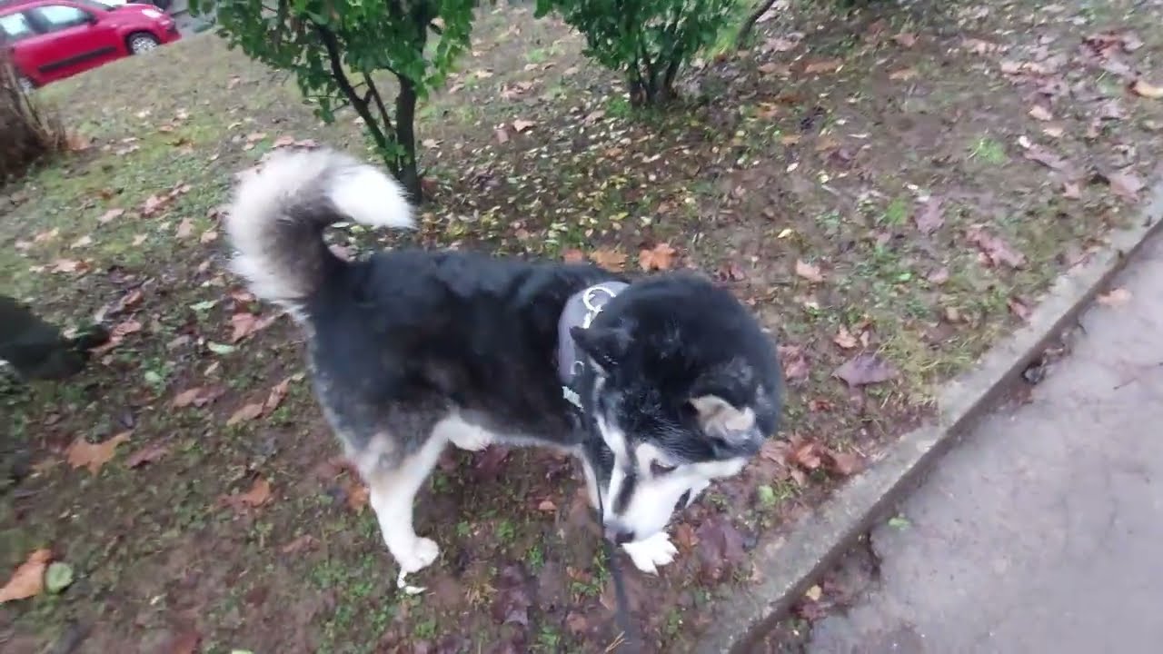 She ate something
