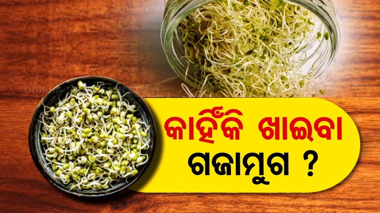 Stay Fit | Watch to know the advantages of having sprouts