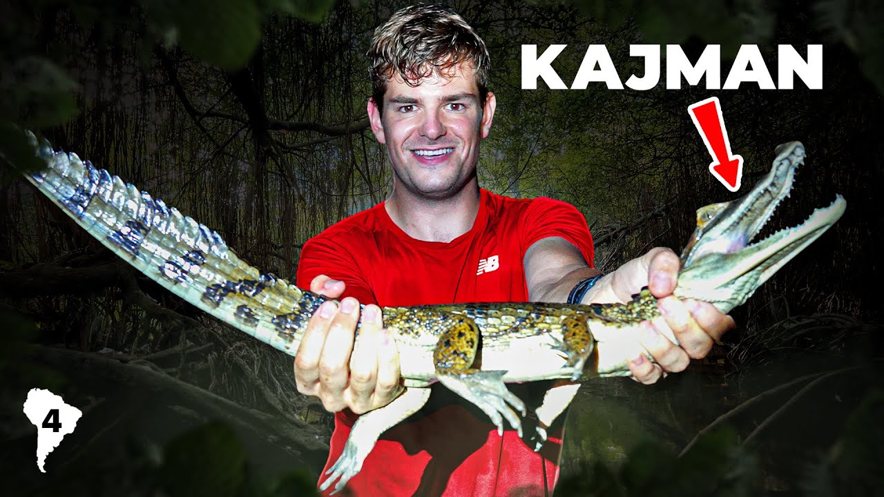 ZŁAPAŁEM PIERWSZEGO KAJMANA!