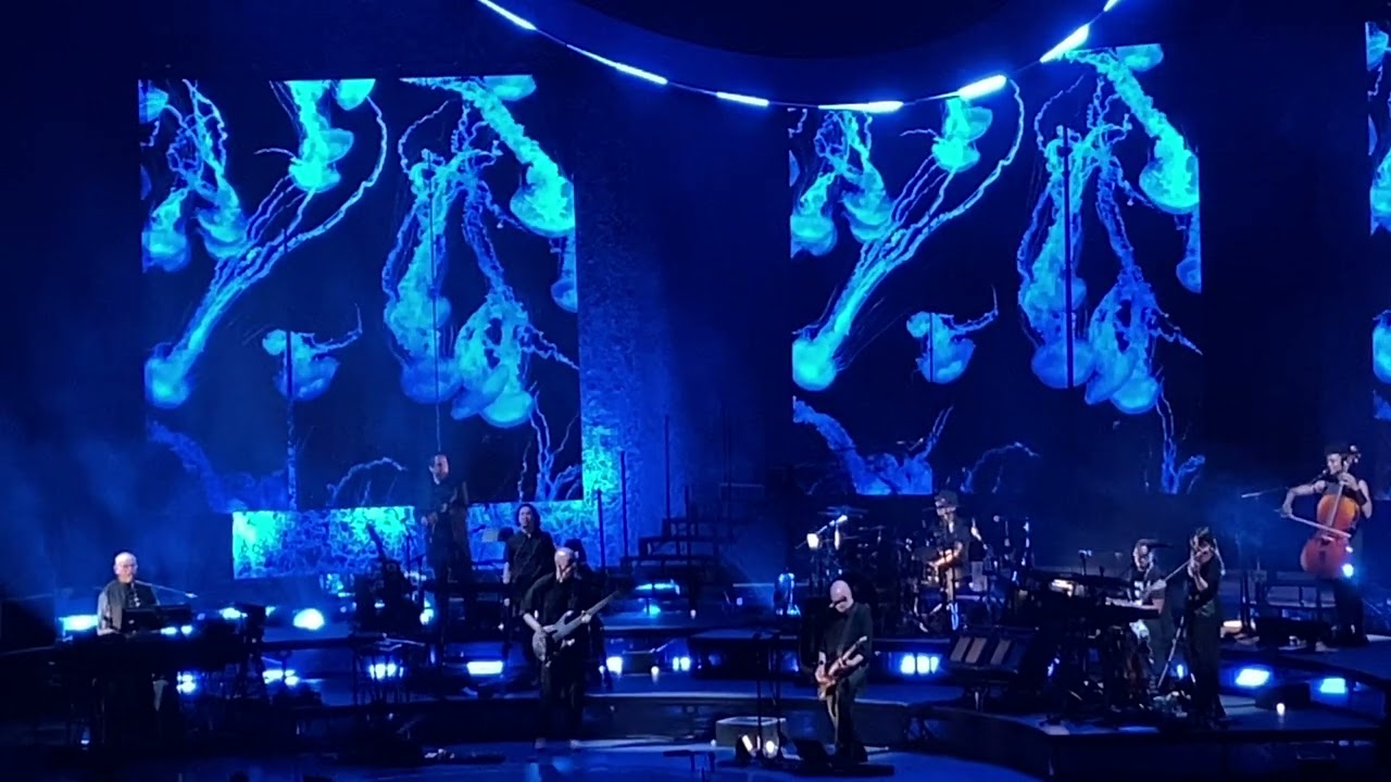 Peter Gabriel. Olive tree