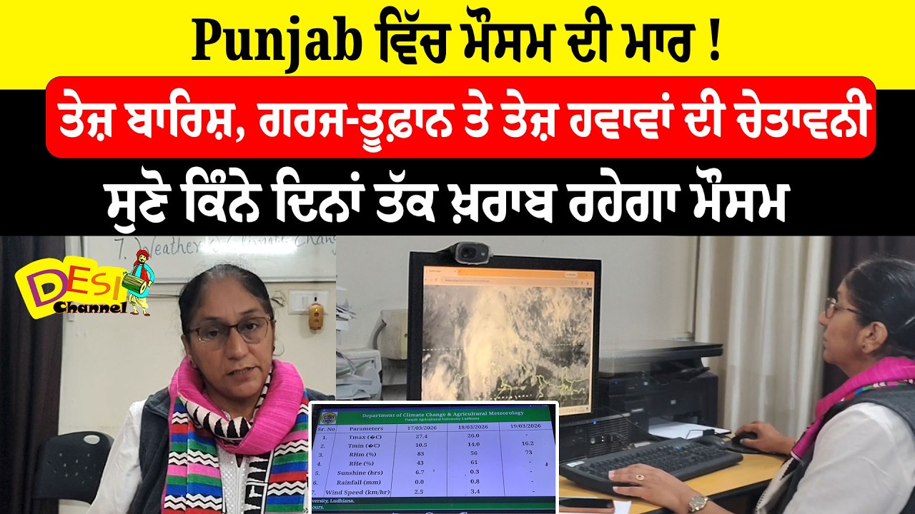 Punjab Weather Alert: Heavy Rain,Thunderstorms & Strong Winds WarningRain & Storm Warning in Punjab