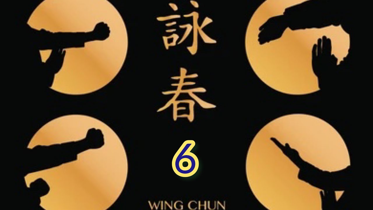 real timing kung fu class / wing chun lesson 6 / wing chun kicks , punches , combo tutorial