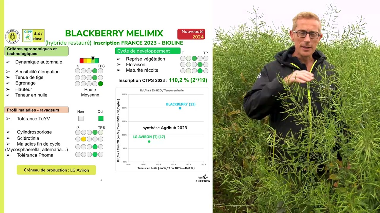 2024 05 23 I Présentation variétés colza blackberry melimix