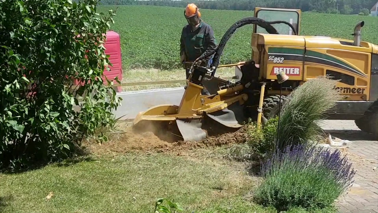 Wurzelfräse im Einsatz
