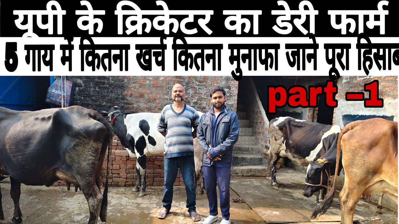 5 गाय से कितनी कमाई? कितना खर्च? पूरा दूध का हिसाब | Dairy Farming Income
