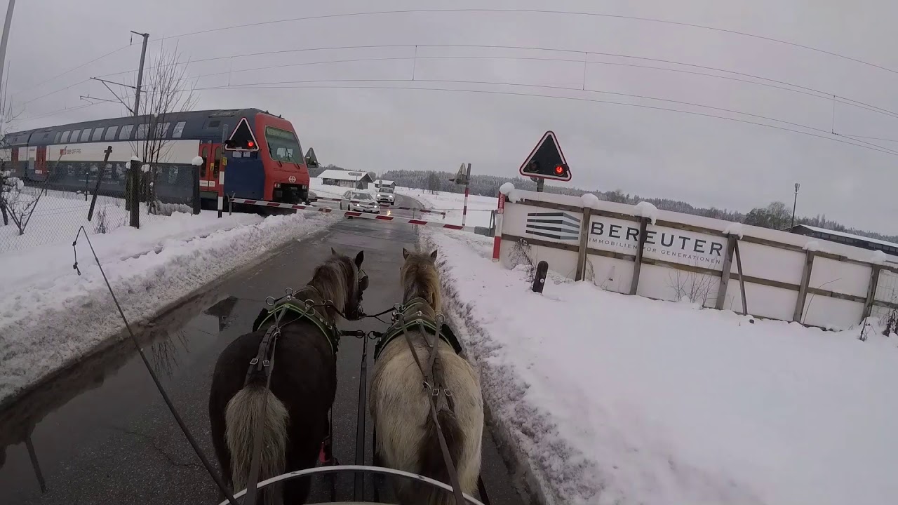 Ponykutsche im Strassenverkehr an einem Sonntag