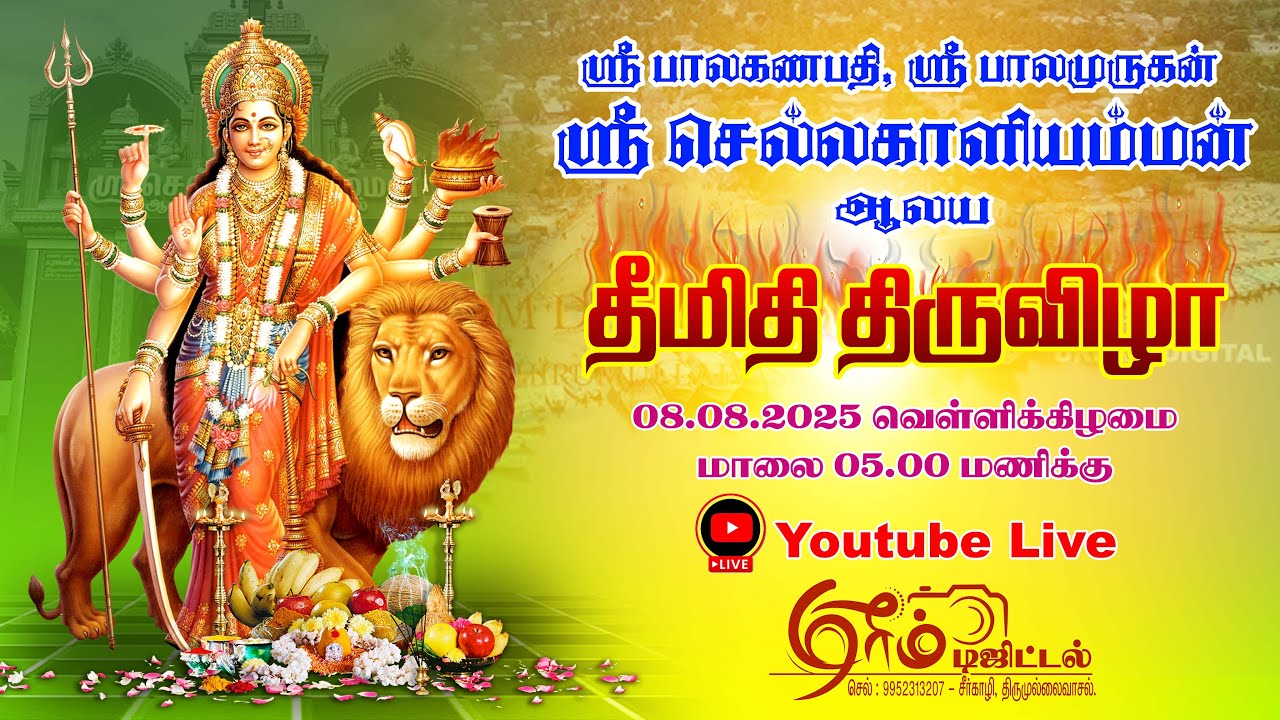 திருமுல்லைவாசல் ஸ்ரீ செல்லகாளியம்மன் ஆலய தீமிதி உற்சவ திருவிழா 2025