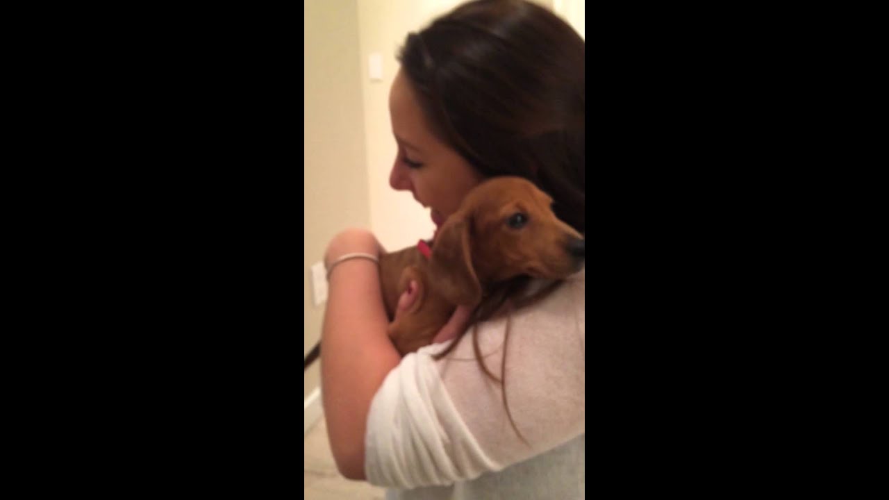 Puppy surprise