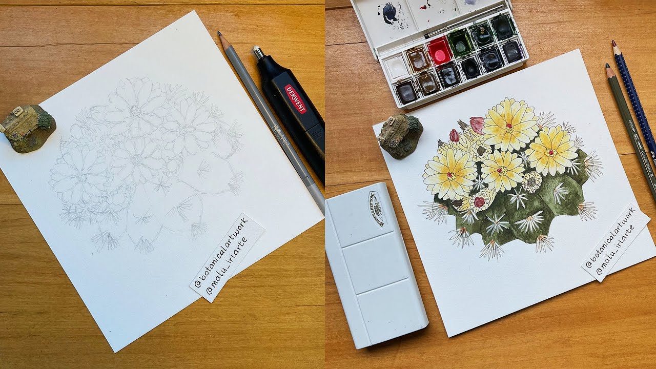Cómo preparo un PEDIDO completo: 4 ACUARELAS BOTANICAS - Paso a paso