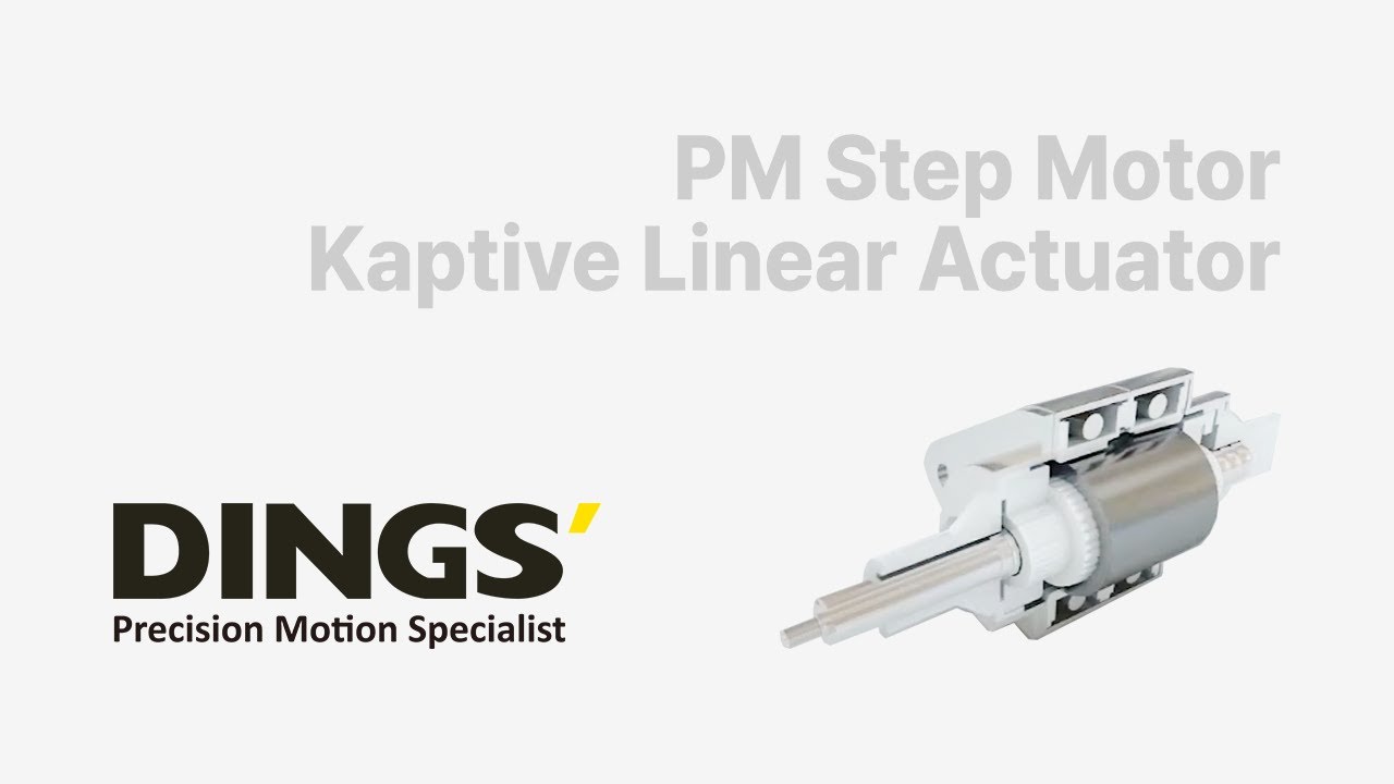 PM (Permanent Magnetic) Step Motor Kaptive Linear Actuator