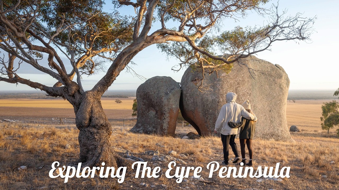 Exploring South Australia's Wild West In Our Toyota Coaster: The Eyre Peninsula!
