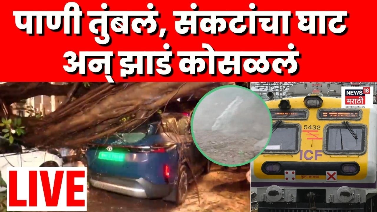 Mumbai Heavy Rain LIVE | घाटकोपर परिसरात झाड कोसळलं | Mumbai Rain | Rain Alert | Monsoon