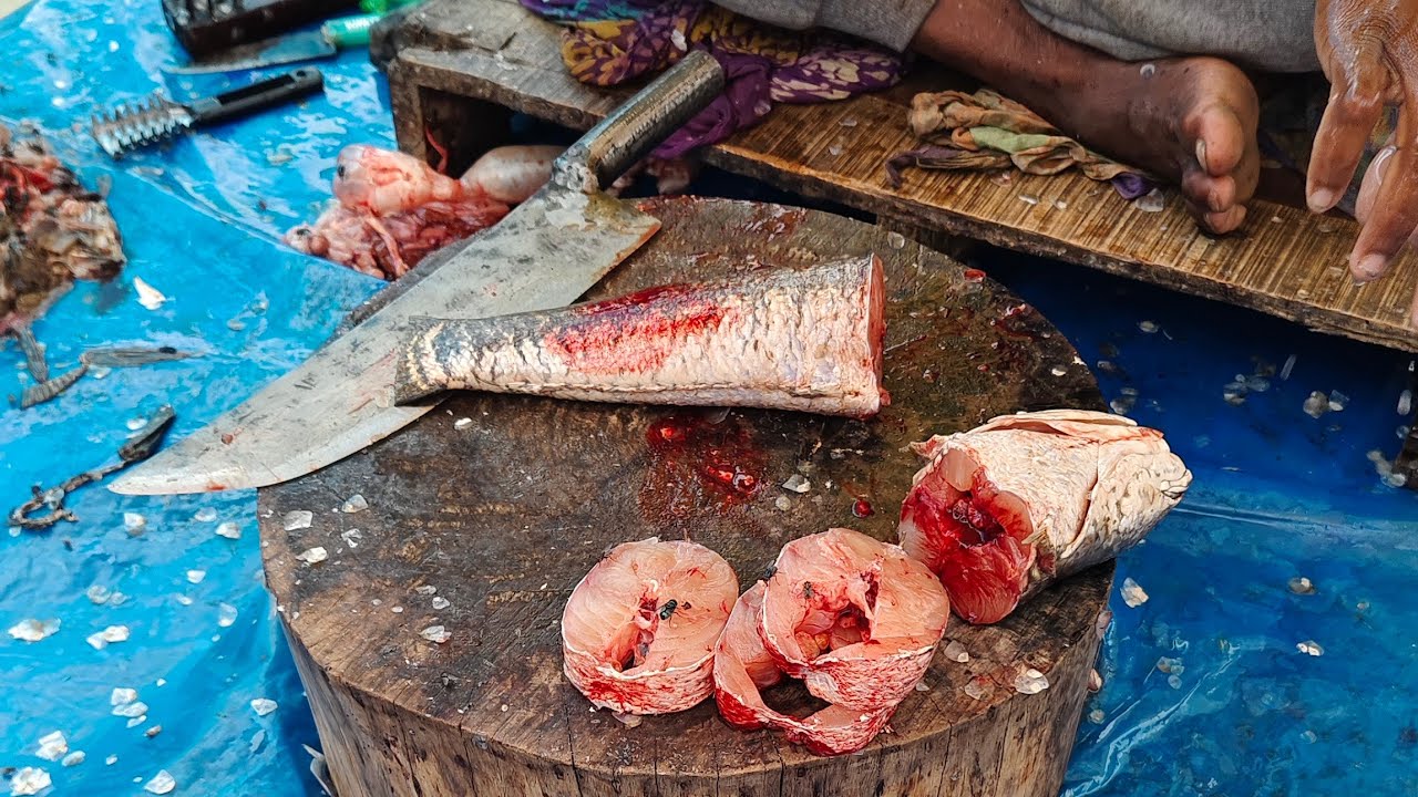 🔴 Live 🔴 Ami Babu Fishing