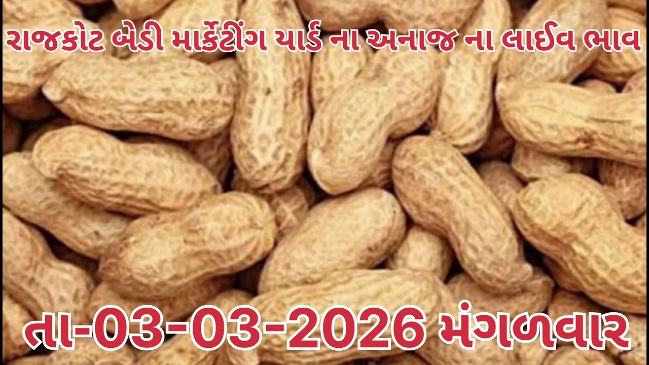 #rajkotmarketingyard 03-03-2026 #anajmandibhav #varalvideo #long #trending #agriculture#gujrat#fact