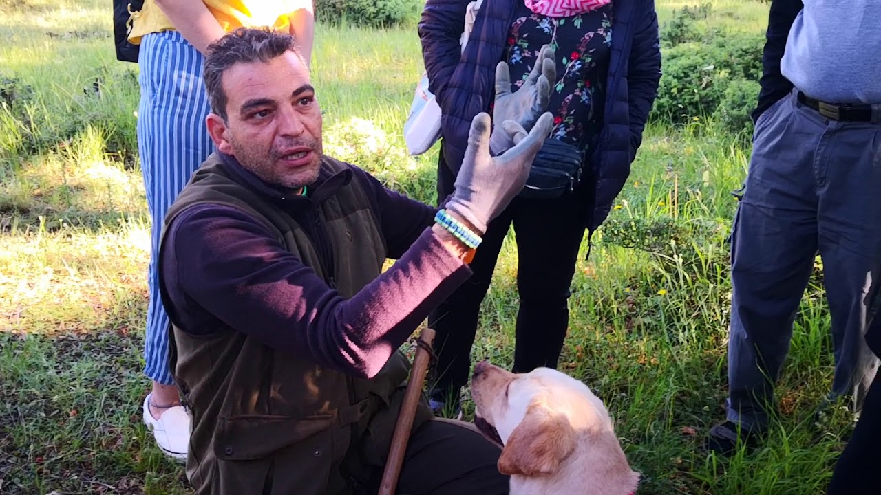 Truffle Hunting & Lunch at Meteora, a Fascinating Experience of My Travel in Greece